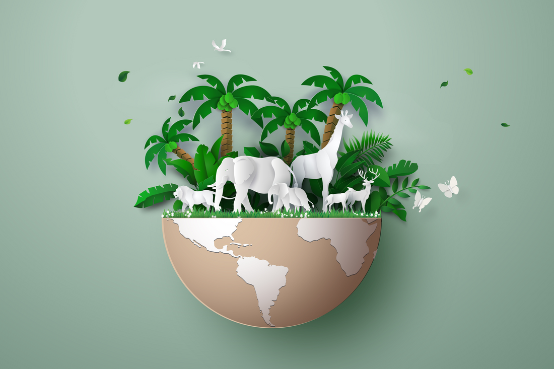 Dierendag vieren? Zo verwen je jouw huisdier écht!