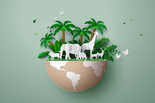 Dierendag vieren? Zo verwen je jouw huisdier écht!