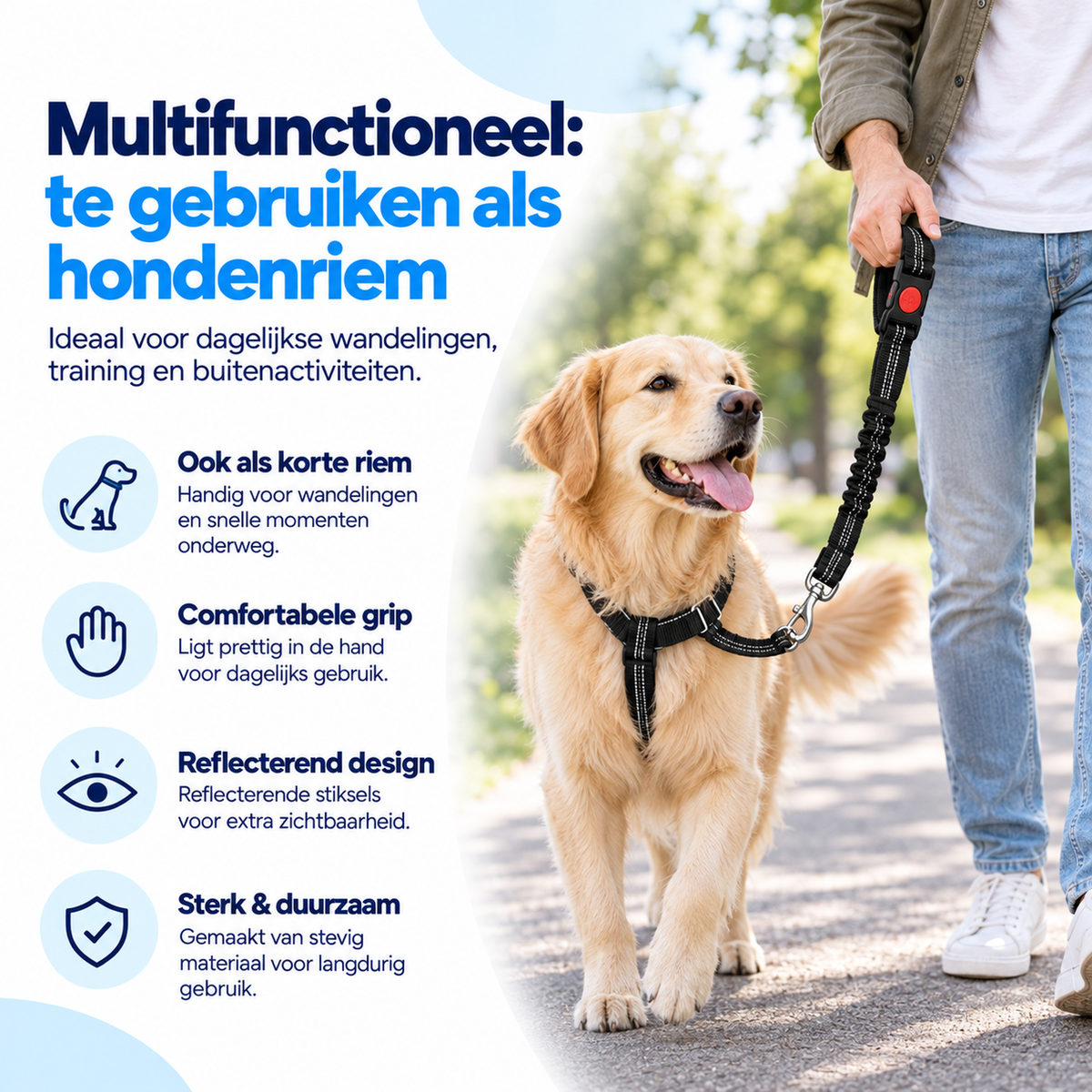Autogordel Hond 3-in-1