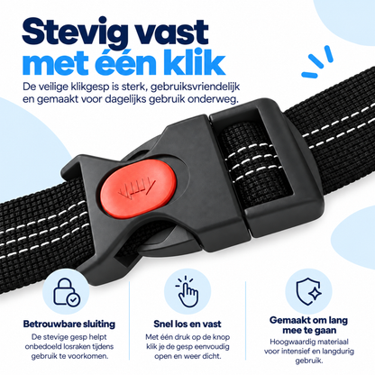 Autogordel Hond 3-in-1