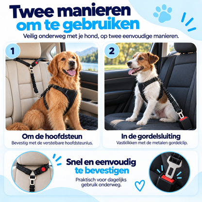 Autogordel Hond 3-in-1