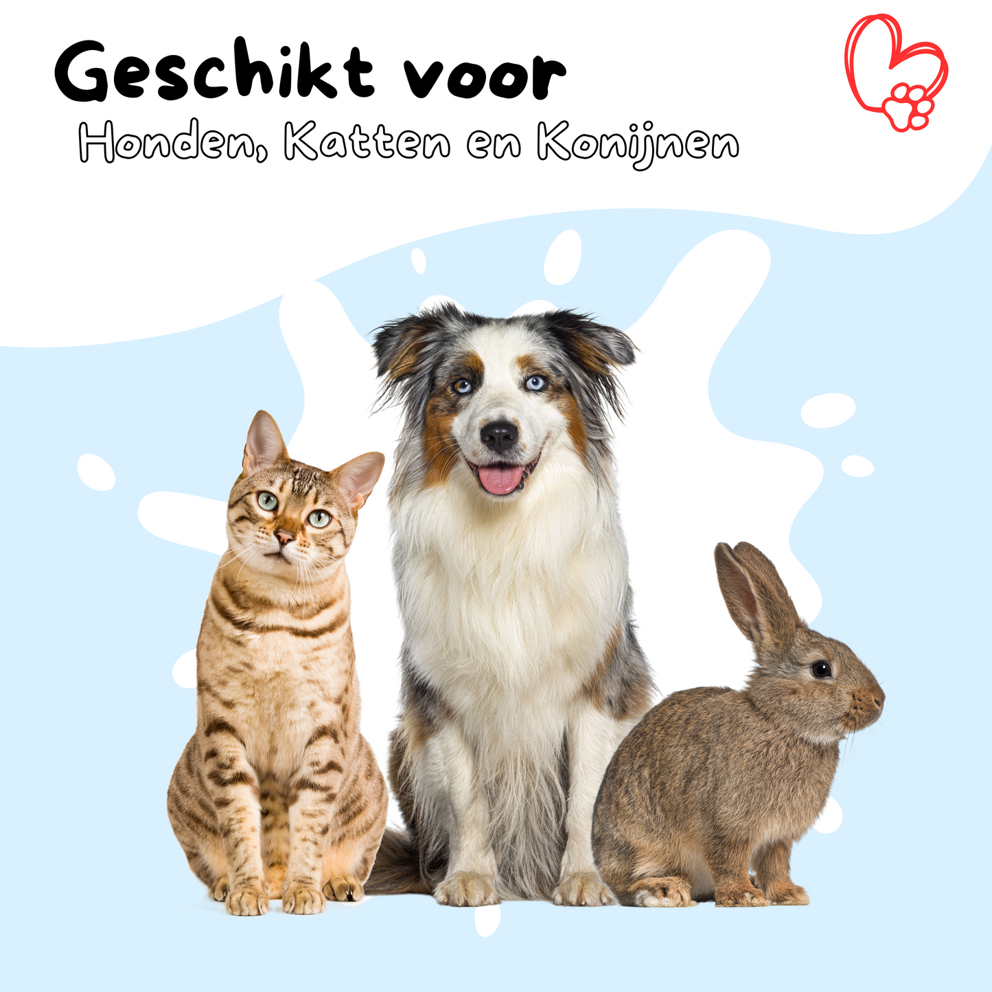 Dougi Slickerborstel – Zelfreinigend voor Hond en Kat