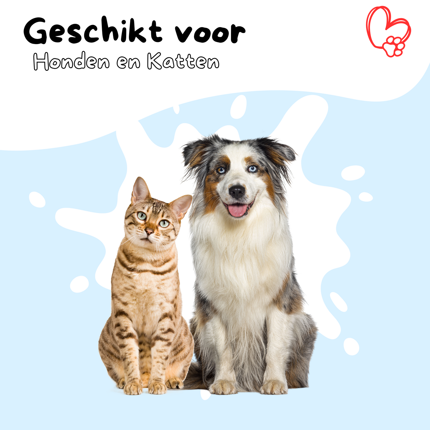 Dougi Ondervachtkam – Ontklit voor Hond en Kat