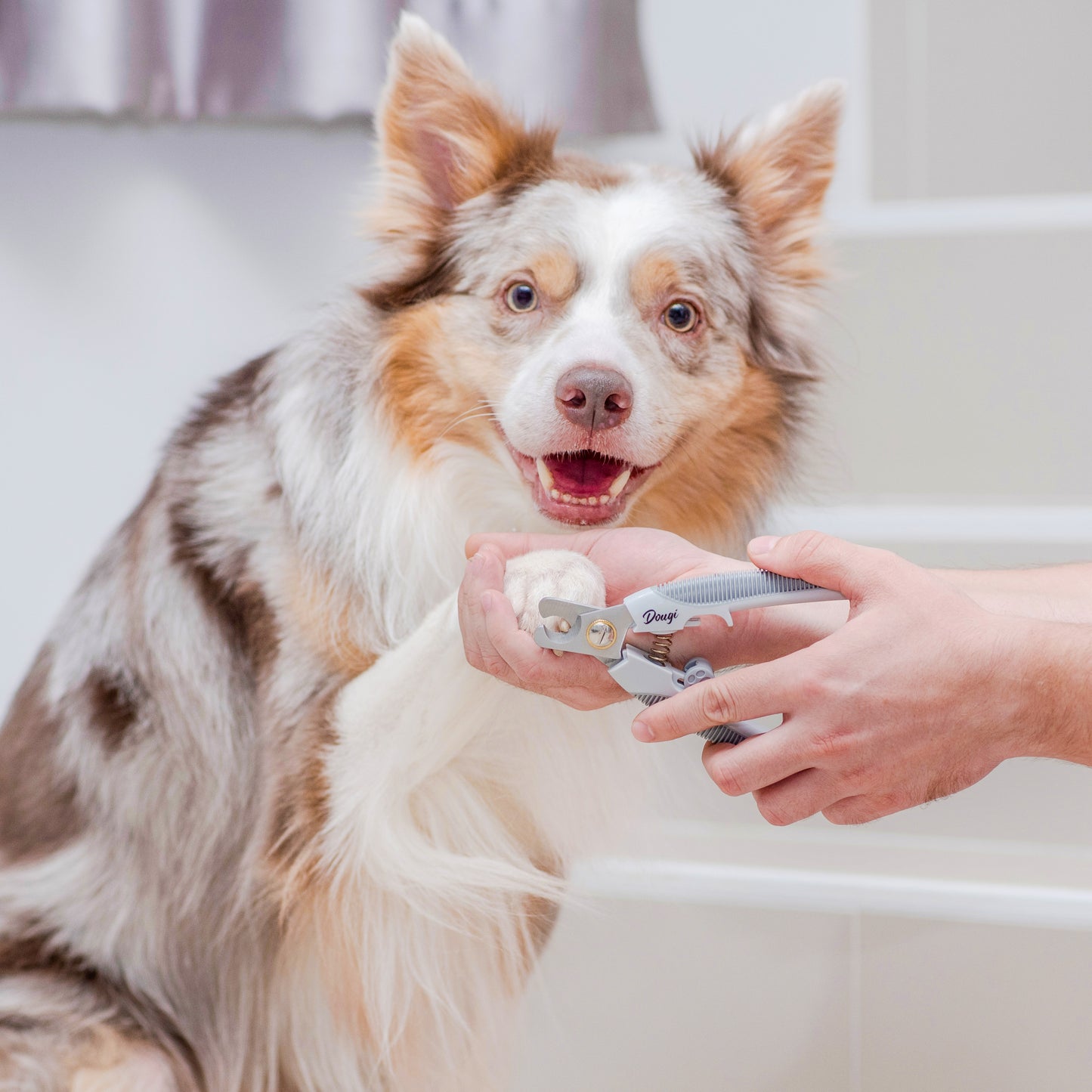 Dougi Nagelknipper – Veiligheidsstop voor Hond en Kat