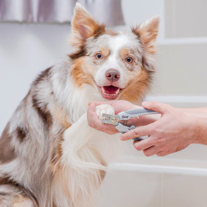Dougi Nagelknipper – Veiligheidsstop voor Hond en Kat