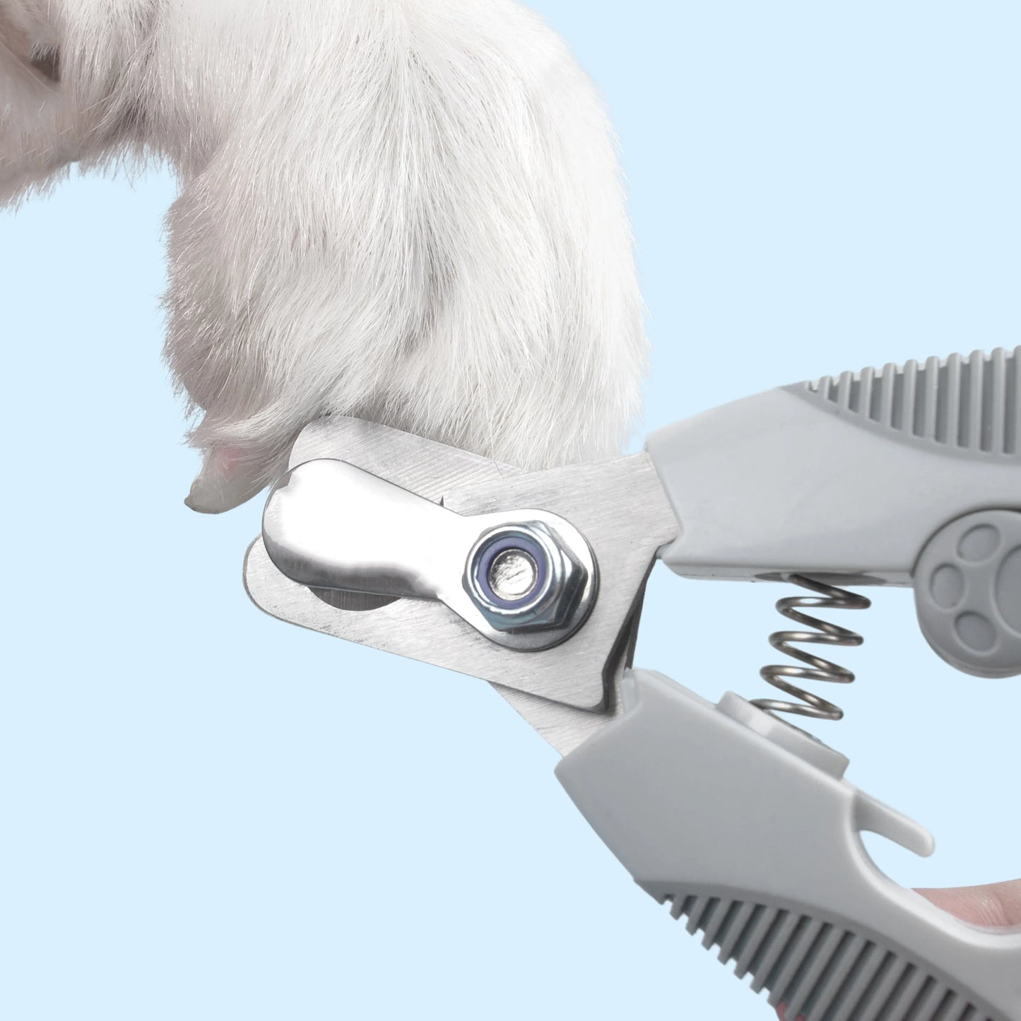 Nagelknipper voor Honden, Katten en Knaagdieren met Veiligheidsstop